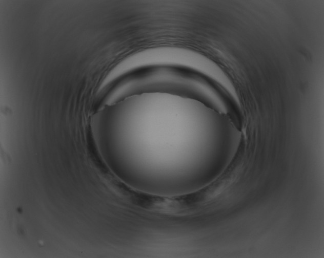 X0000090960125200708021424