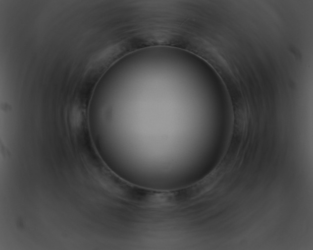 X0000090960126200708021424