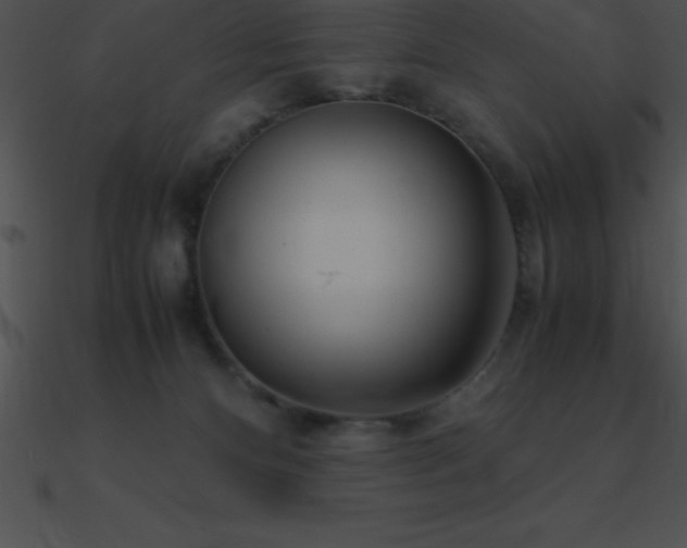 X0000090960128200708021424