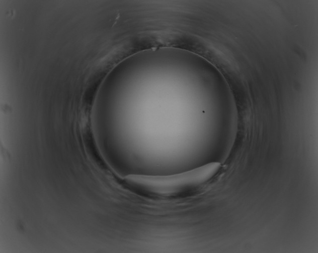 X0000090960129200708021424