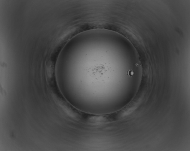 X0000090960133200708021424