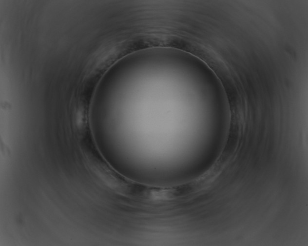 X0000090960134200708021424