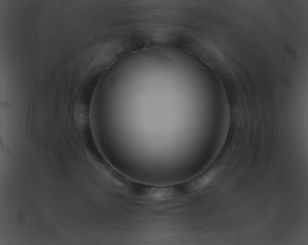 X0000090960135200708021424