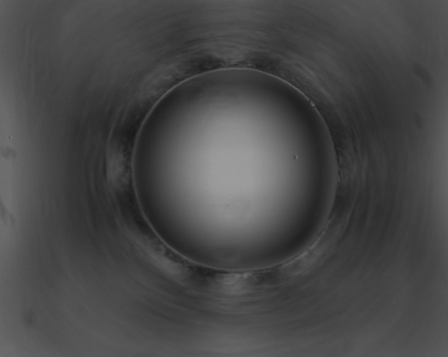 X0000090960136200708021424