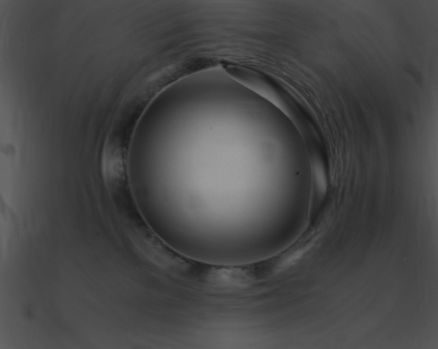 X0000090960137200708021424