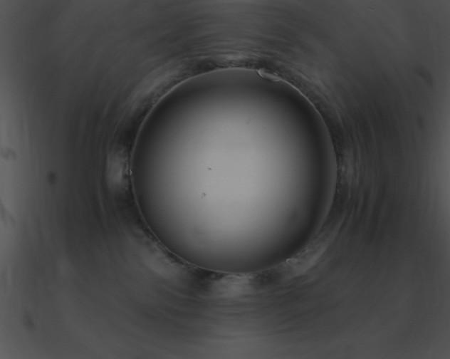 X0000090960138200708021424