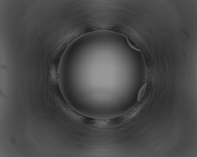 X0000090960143200708021424