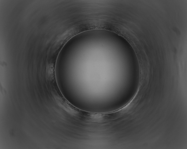 X0000090960144200708021424