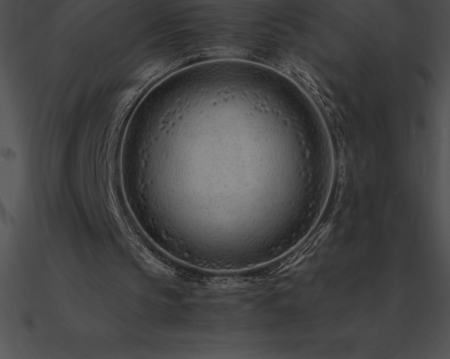 X0000090960145200708021423