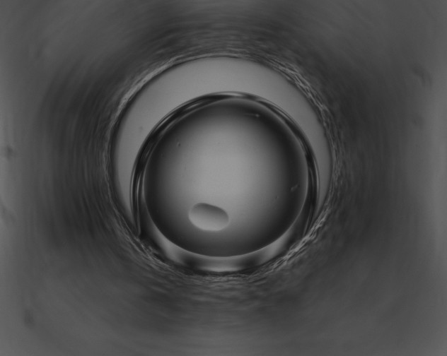 X0000090960146200708021423