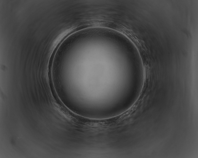 X0000090960147200708021423