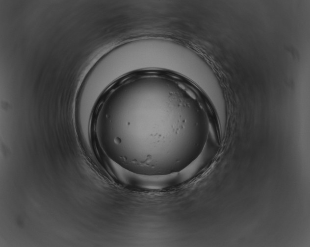X0000090960148200708021423