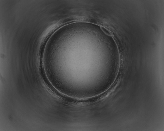X0000090960149200708021423