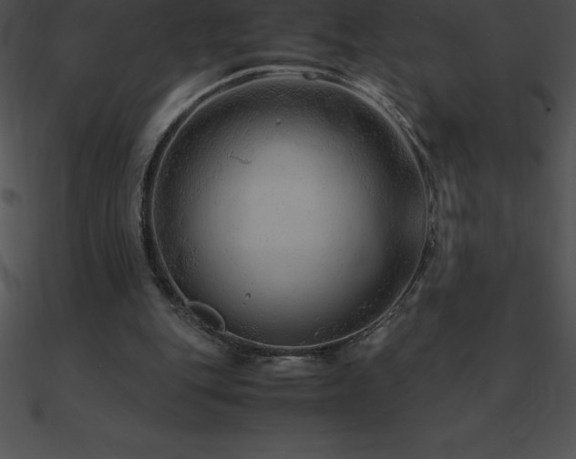 X0000090960151200708021423