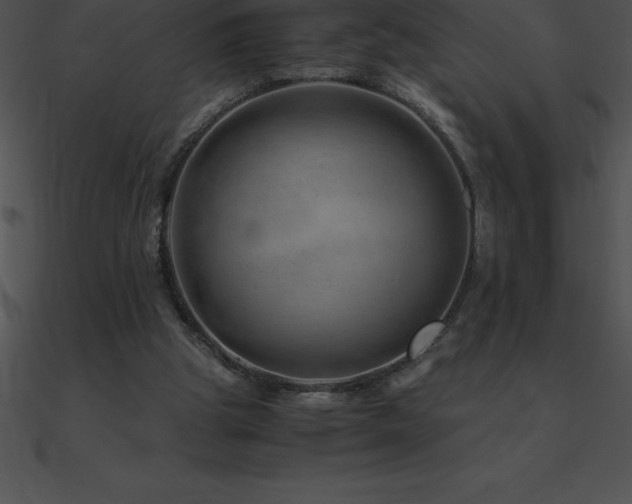 X0000090960153200708021423