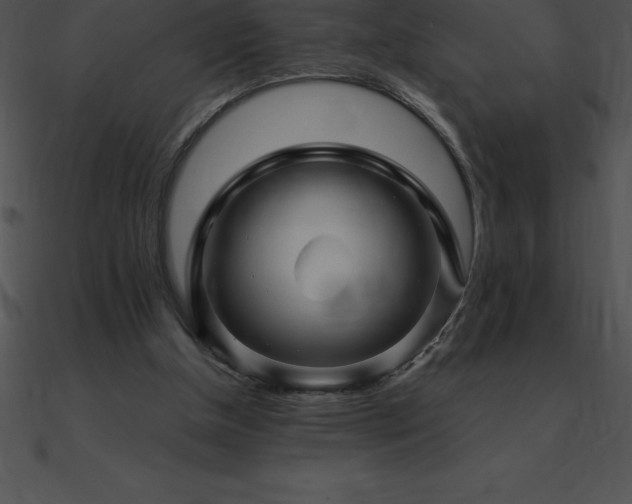 X0000090960154200708021423