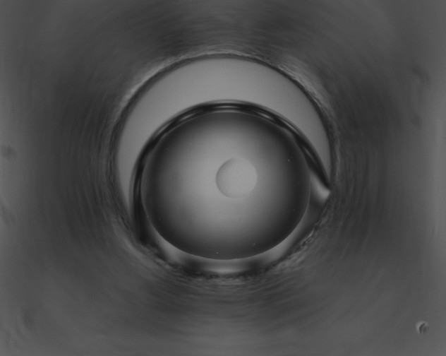 X0000090960156200708021423