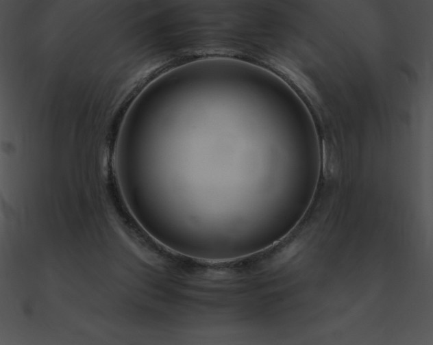 X0000090960157200708021423