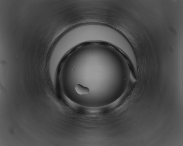 X0000090960160200708021423
