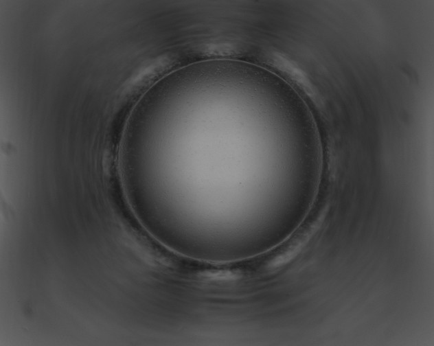X0000090960161200708021423