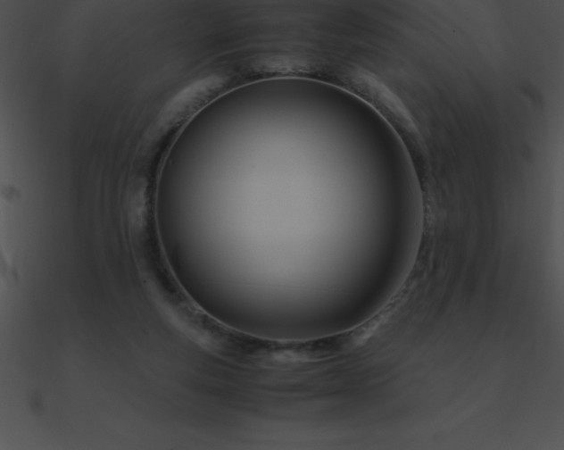 X0000090960163200708021423