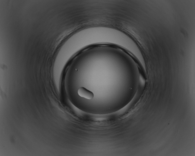 X0000090960164200708021423