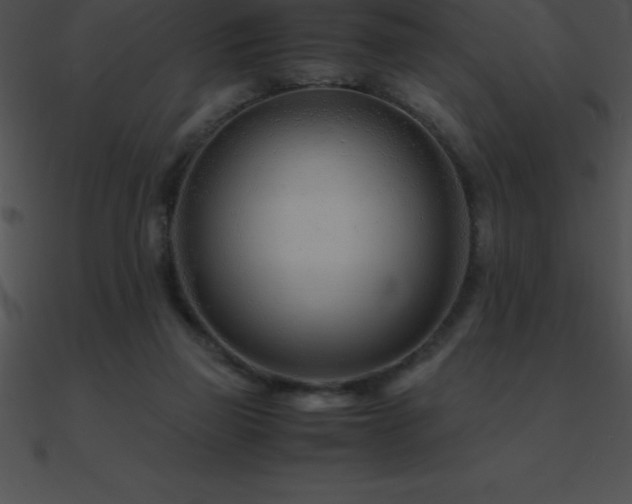 X0000090960165200708021423
