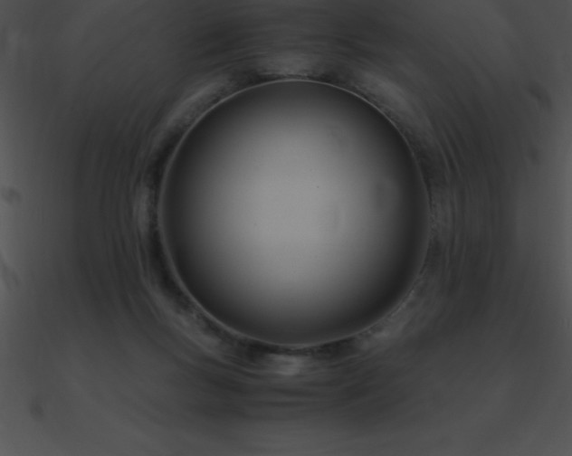 X0000090960167200708021423