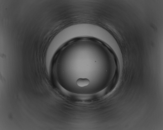 X0000090960170200708021423