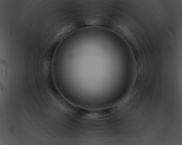 X0000090960171200708021423