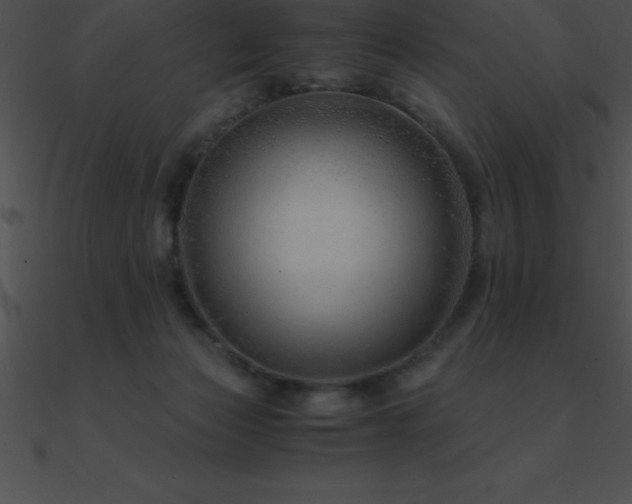 X0000090960173200708021423