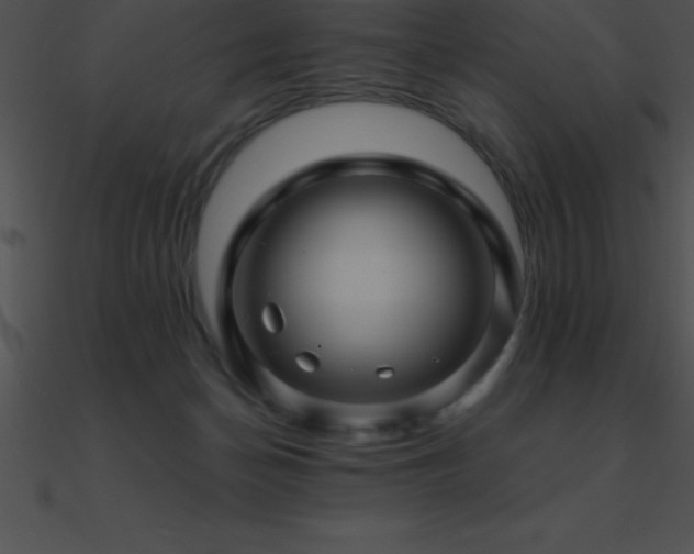 X0000090960174200708021423
