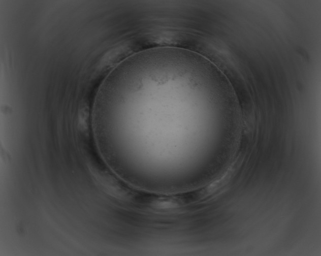 X0000090960175200708021423