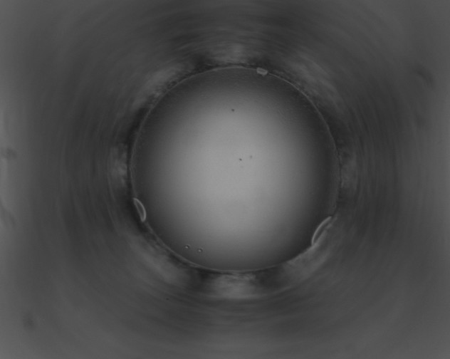 X0000090960179200708021424