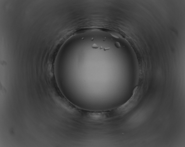 X0000090960187200708021424