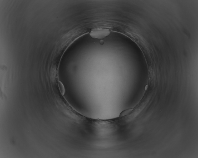 X0000090960189200708021424