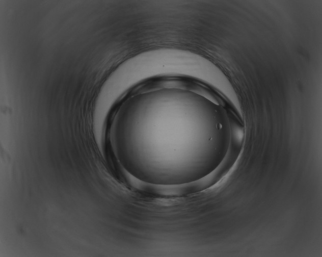 X0000090960190200708021424