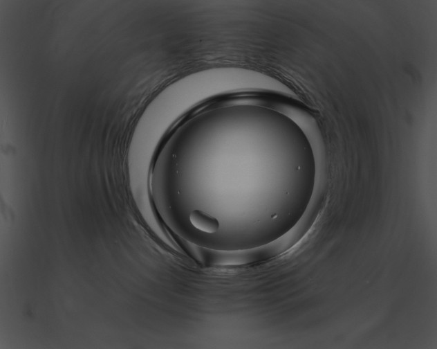 X0000090960192200708021424