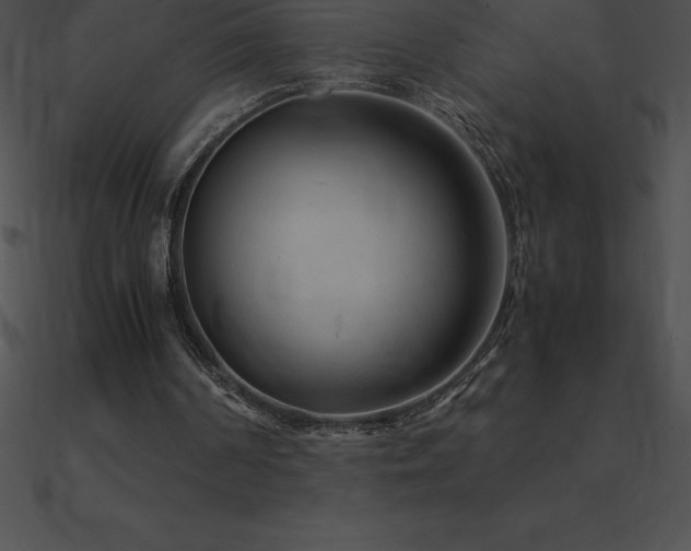 X0000090960194200708021423