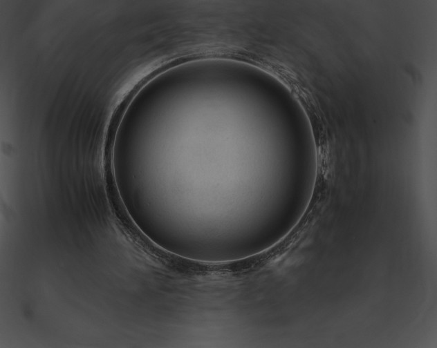 X0000090960196200708021423
