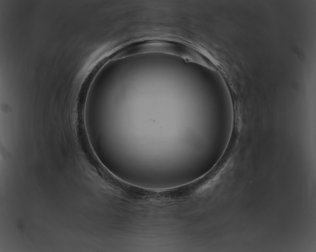 X0000090960199200708021423