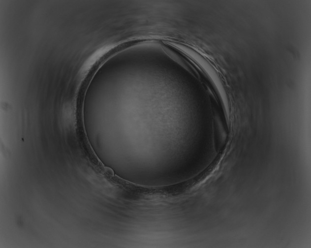 X0000090960200200708021423