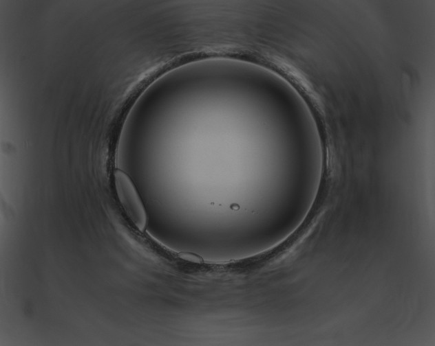 X0000090960201200708021423