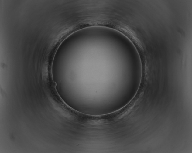 X0000090960202200708021423