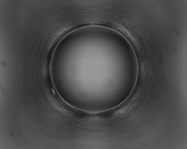 X0000090960203200708021423