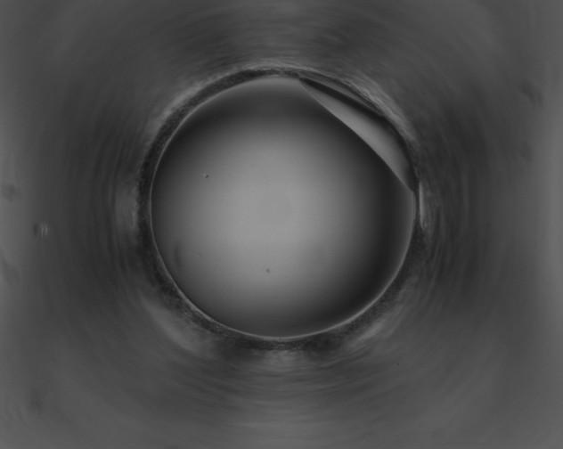 X0000090960204200708021423