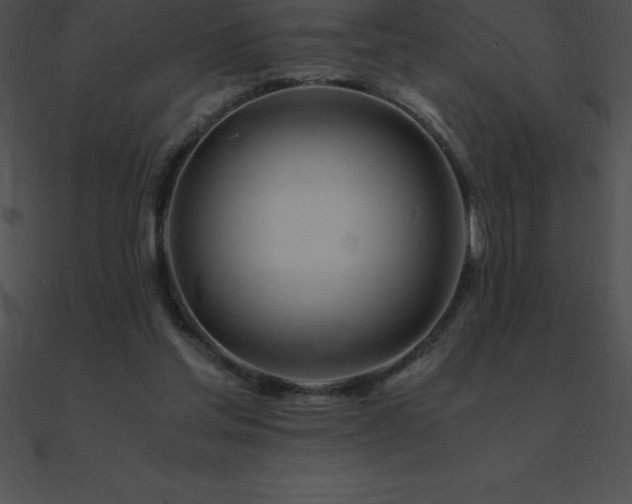 X0000090960205200708021423