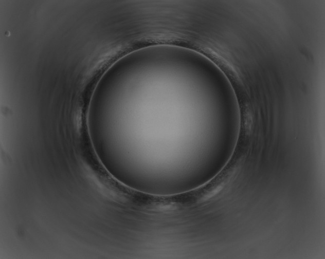 X0000090960206200708021423