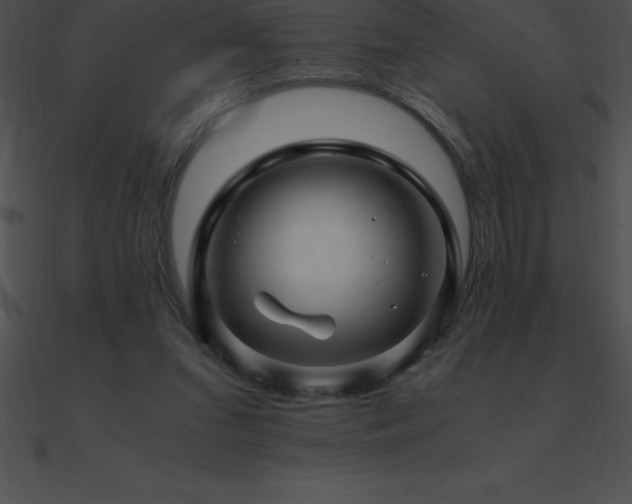 X0000090960207200708021423