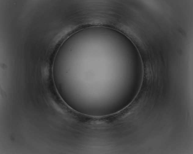 X0000090960208200708021423